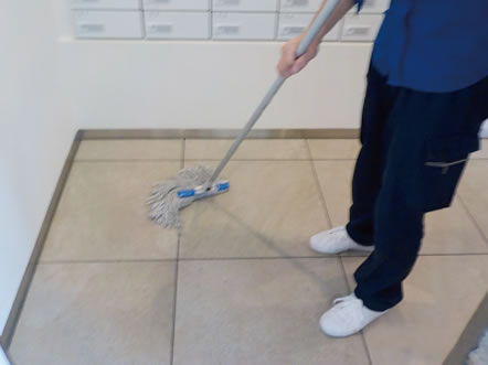 きれいなモップで残った洗浄水を回収