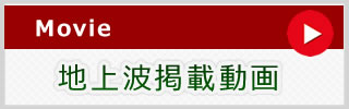 地上波掲載動画